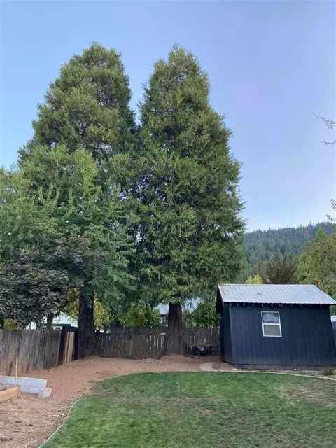 628 Main St, Quincy, CA 95971 photo 3
