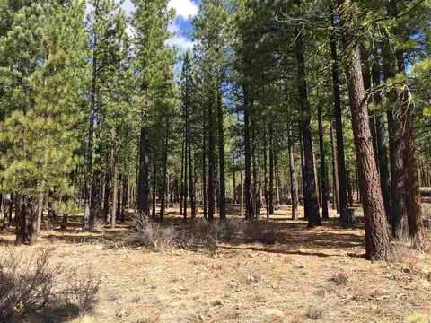 274 Deer Trl, Clio, CA 96122 photo 1