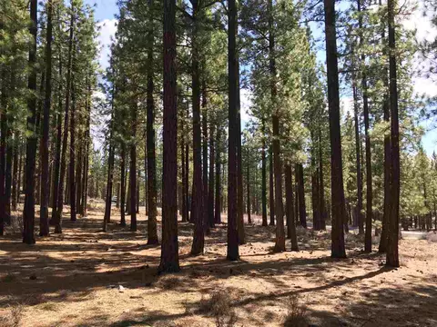 274 Deer Trl, Clio, CA 96122 photo 4