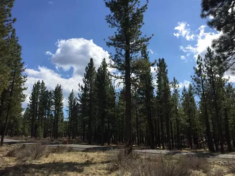274 Deer Trl, Clio, CA 96122 photo 3
