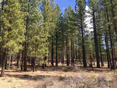 274 Deer Trl, Clio, CA 96122 photo 2