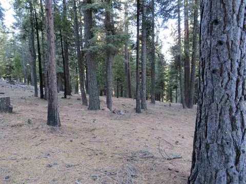 246 Osprey Loop, Chester, CA 96020 photo 2