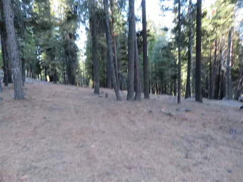 246 Osprey Loop, Chester, CA 96020 photo 3