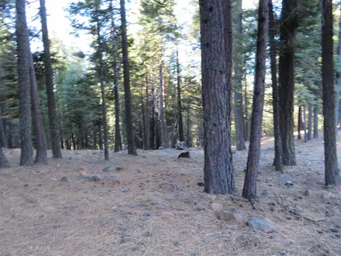 246 Osprey Loop, Chester, CA 96020 photo 1