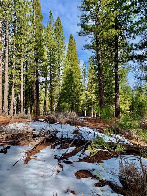 32 Cody Dr, Clio, CA 96106 photo 6