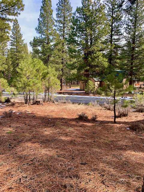 32 Cody Dr, Clio, CA 96106 photo 4