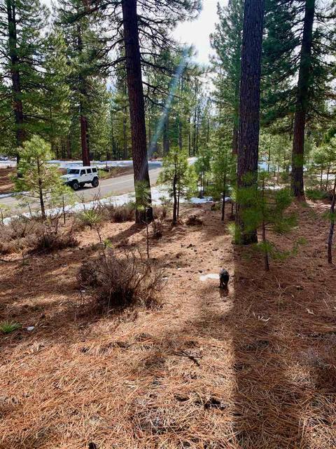 32 Cody Dr, Clio, CA 96106 photo 5