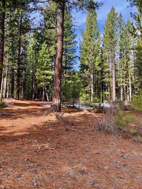 32 Cody Dr, Clio, CA 96106 photo 2