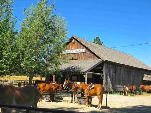 32 Cody Dr, Clio, CA 96106 photo 19