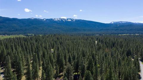 32 Cody Dr, Clio, CA 96106 photo 13