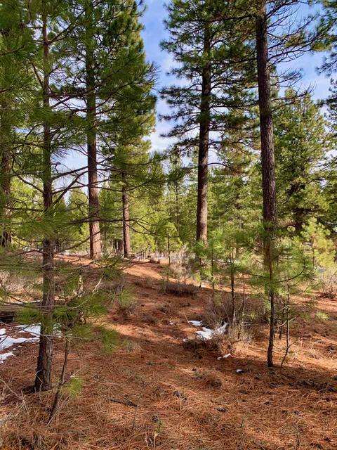 32 Cody Dr, Clio, CA 96106 photo 3
