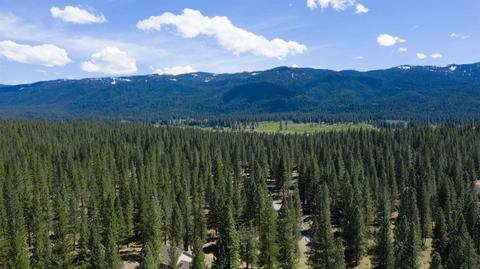 32 Cody Dr, Clio, CA 96106 photo 14
