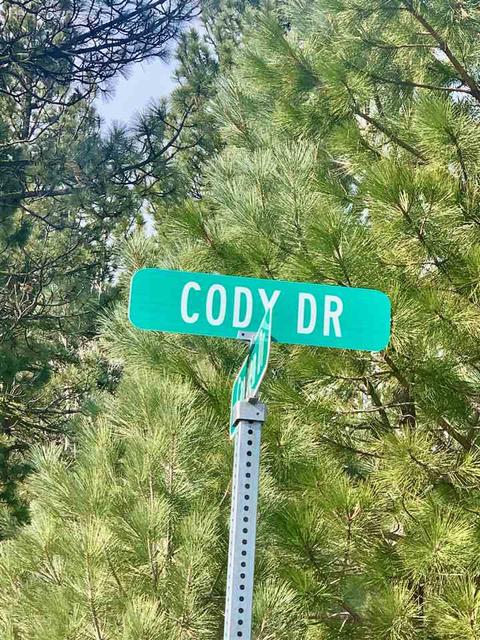 32 Cody Dr, Clio, CA 96106 photo 9
