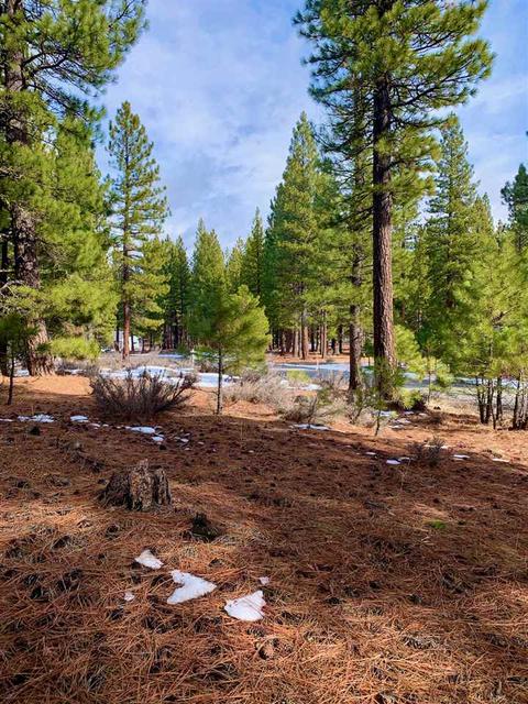 32 Cody Dr, Clio, CA 96106 photo 1