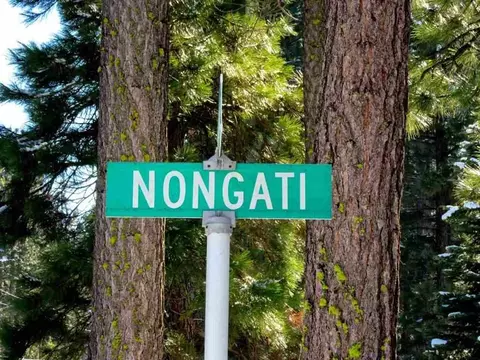 6 Nongati Trl, Graeagle, CA 96103 photo 22