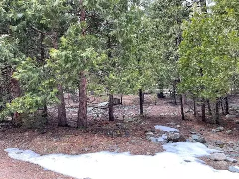 26 Mohave Trl, Graeagle, CA 96103 photo 6