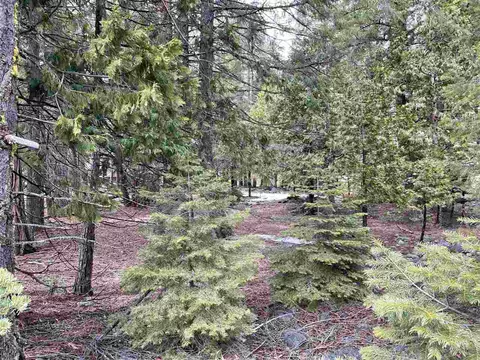 26 Mohave Trl, Graeagle, CA 96103 photo 3
