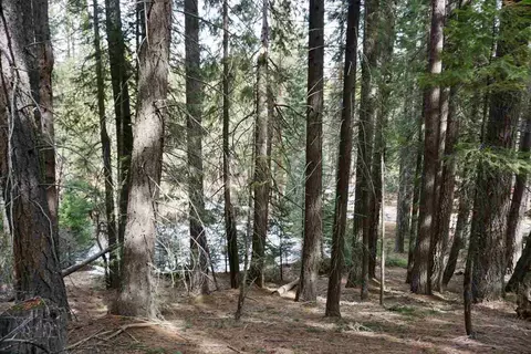 6 Pine Tree Ct #2, Blairsden, CA 96103 photo 15