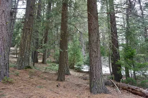6 Pine Tree Ct #2, Blairsden, CA 96103 photo 3