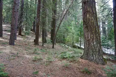 6 Pine Tree Ct #2, Blairsden, CA 96103