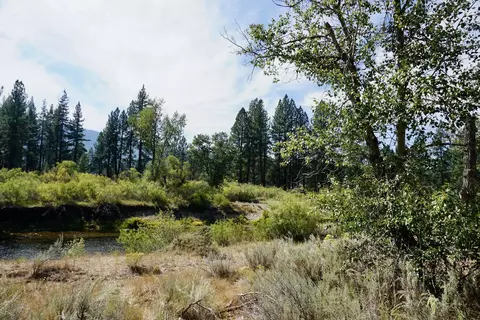 438 River Rd, Clio, CA 96106 photo 13