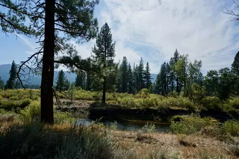 438 River Rd, Clio, CA 96106 photo 11