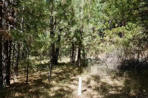 438 River Rd, Clio, CA 96106 photo 14
