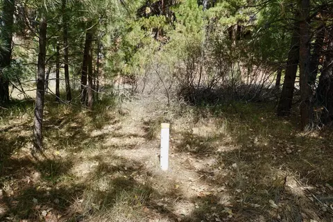 438 River Rd, Clio, CA 96106 photo 6