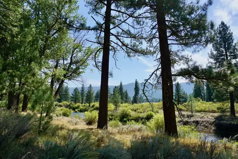 438 River Rd, Clio, CA 96106 photo 10