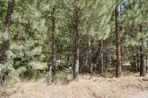 438 River Rd, Clio, CA 96106 photo 3
