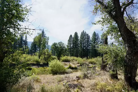 438 River Rd, Clio, CA 96106 photo 2