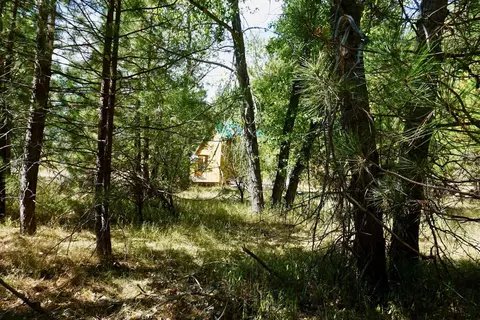 438 River Rd, Clio, CA 96106 photo 7