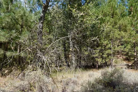 438 River Rd, Clio, CA 96106 photo 16