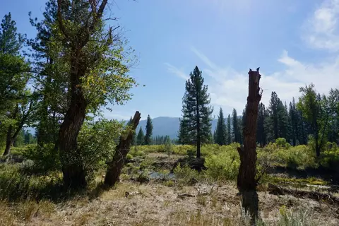438 River Rd, Clio, CA 96106 photo 4