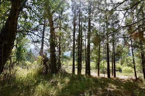 438 River Rd, Clio, CA 96106 photo 9