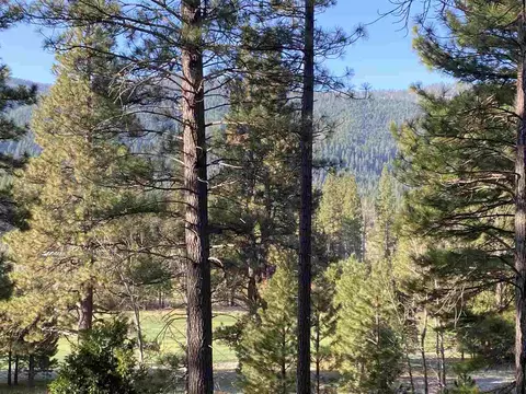 93 Bridle Path, Clio, CA 96106 photo 5