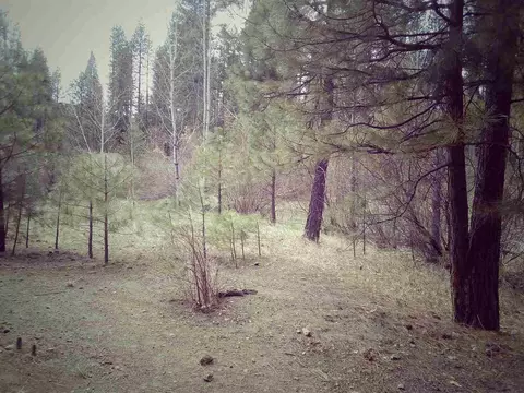 332 Mckenzie Trl, Clio, CA 96106 photo 8