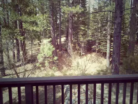 332 Mckenzie Trl, Clio, CA 96106 photo 6