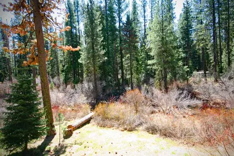 25 Tomahawk Trl, Graeagle, CA 96103 photo 9