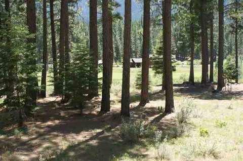 564 Bobcat Trl, Clio, CA 96106 photo 2