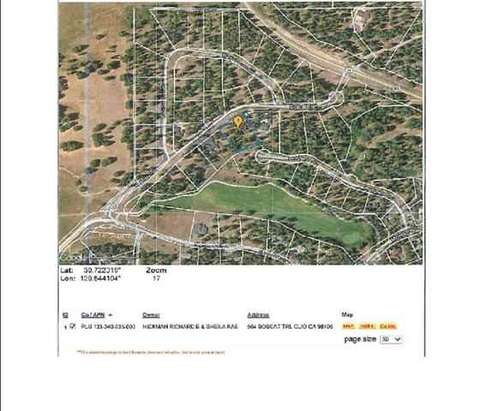 564 Bobcat Trl, Clio, CA 96106 photo 3