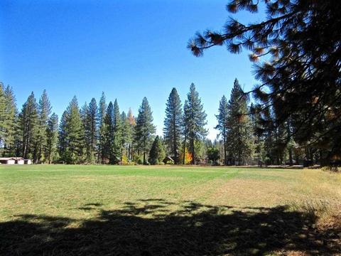 34 Pomo Trl, Graeagle, CA 96103 photo 19
