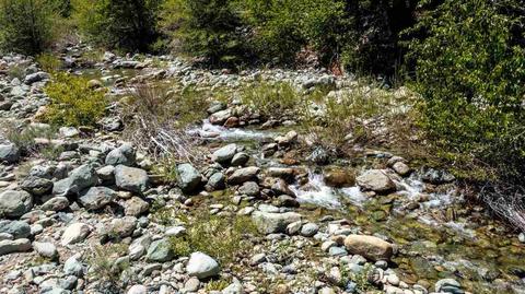 34 Pomo Trl, Graeagle, CA 96103 photo 8