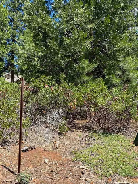 250 Fox Head Ct, Lake Almanor, CA 96137