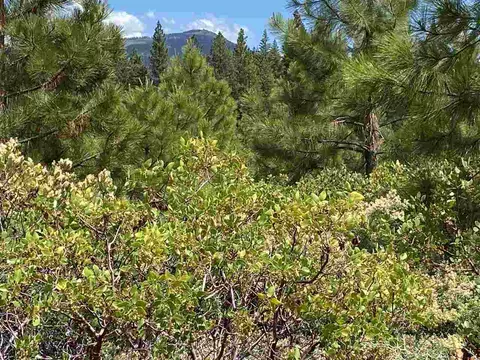 37 Walsh Ct, Lake Almanor, CA 96137