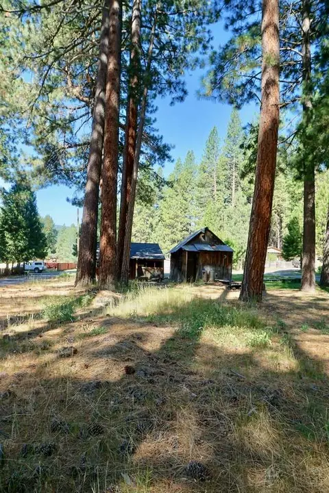 360 Spruce St, Clio, CA 96106 photo 30