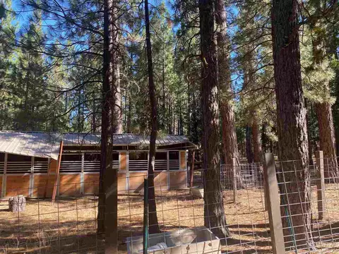 105 Cedar Ln, Calpine, CA 96124 photo 20