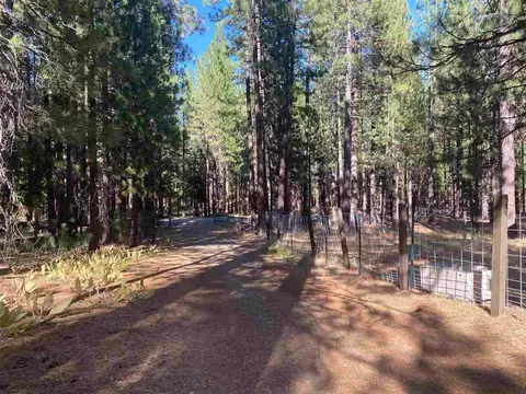 105 Cedar Ln, Calpine, CA 96124 photo 25