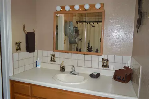 114 Bark Way, Clio, CA 96106 photo 11