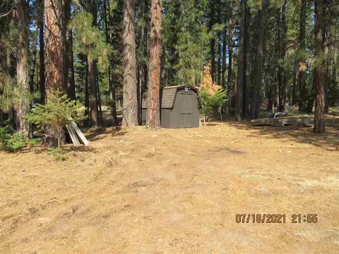 114 Bark Way, Clio, CA 96106 photo 22